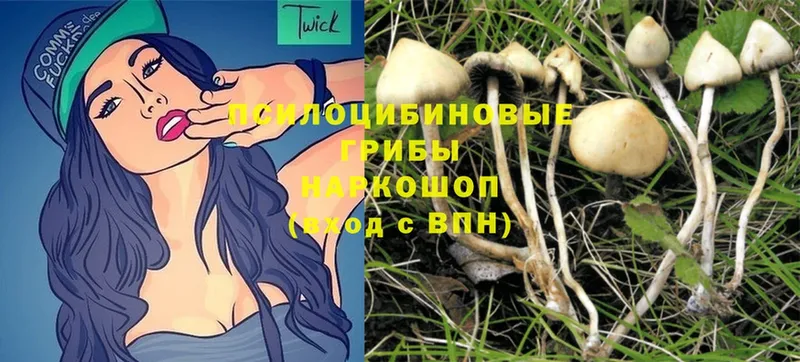 Галлюциногенные грибы MAGIC MUSHROOMS  Белый 